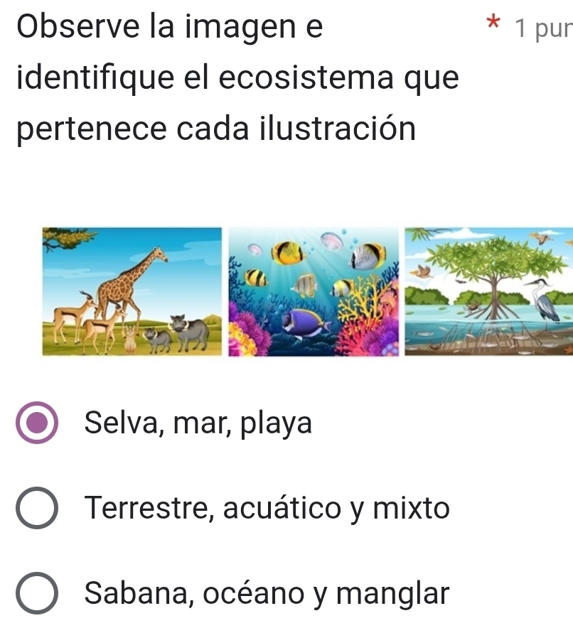 Observe la imagen e 1 pur
identifique el ecosistema que
pertenece cada ilustración
Selva, mar, playa
Terrestre, acuático y mixto
Sabana, océano y manglar