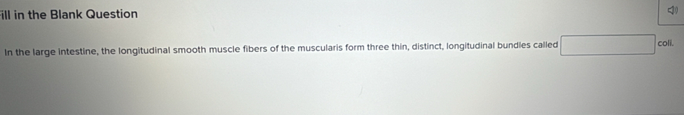 ill in the Blank Question 
In the large intestine, the longitudinal smooth muscle fibers of the muscularis form three thin, distinct, longitudinal bundles called coli.