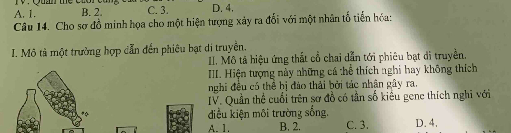 Quan the cuor e
A. 1. B. 2. C. 3. D. 4.
Câu 14. Cho sơ đồ minh họa cho một hiện tượng xảy ra đối với một nhân tố tiến hóa:
I. Mô tả một trường hợp dẫn đến phiêu bạt di truyền.
II. Mô tả hiệu ứng thắt cổ chai dẫn tới phiêu bạt di truyền.
III. Hiện tượng này những cá thể thích nghi hay không thích
nghi đều có thể bị đào thải bởi tác nhân gây ra.
IV. Quần thể cuối trên sơ đồ có tần số kiều gene thích nghi với
điều kiện môi trường sống.
A. 1. B. 2. C. 3. D. 4.