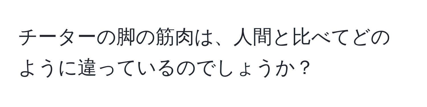 チーターの脚の筋肉は、人間と比べてどのように違っているのでしょうか？