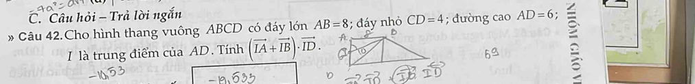 Câu hỏi - Trả lời ngắn 
》 Câu 42.Cho hình thang vuông ABCD có đáy lớn AB=8; đáy nhỏ CD=4; đường cao AD=6
I là trung điểm của AD. Tính (vector IA+vector IB)· vector ID. 
;