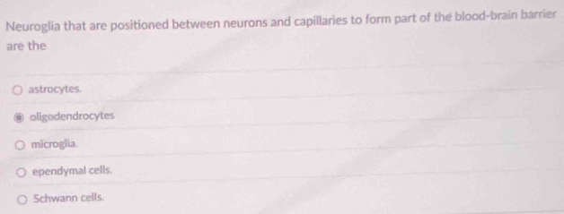 Neuroglia that are positioned between neurons and capillaries to form part of the blood-brain barrier
are the
astrocytes.
oligodendrocytes
microglia.
ependymal cells.
Schwann cells.