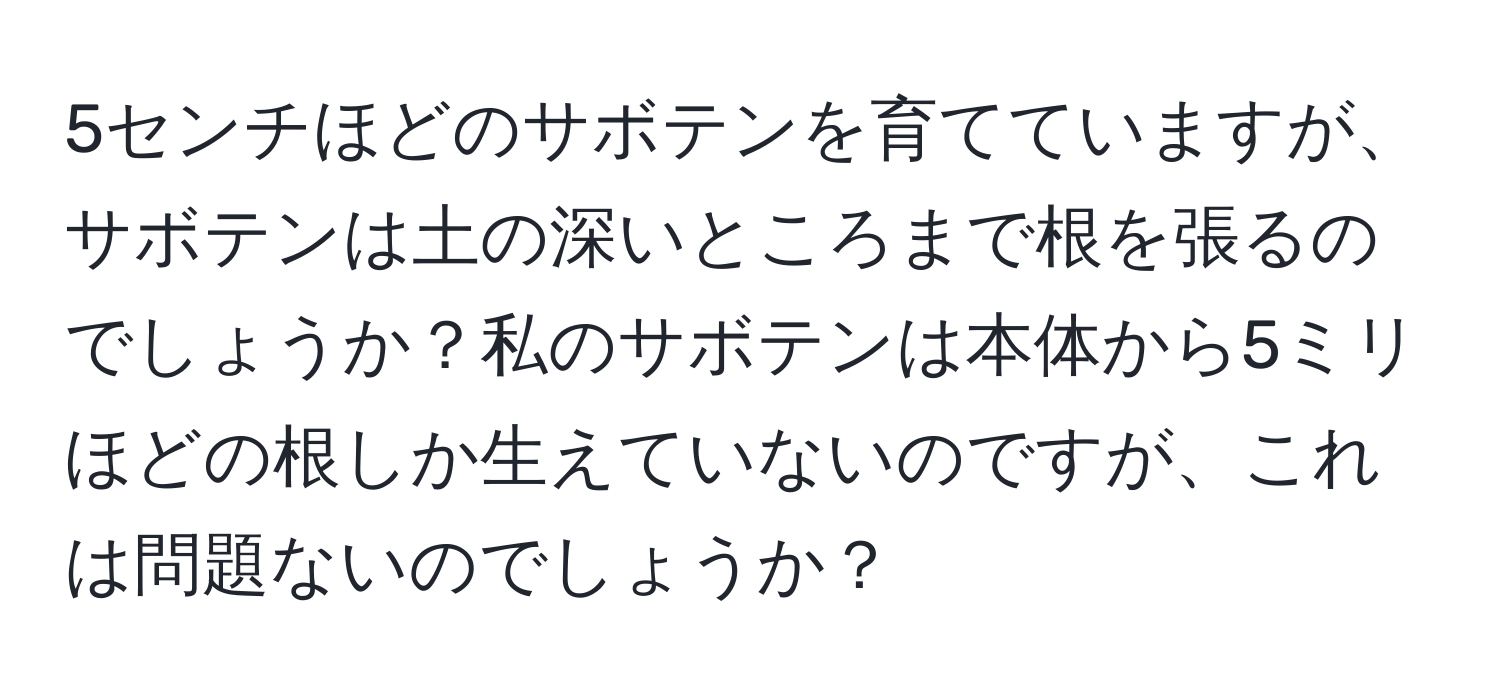 5センチほどのサボテンを育てていますが、サボテンは土の深いところまで根を張るのでしょうか？私のサボテンは本体から5ミリほどの根しか生えていないのですが、これは問題ないのでしょうか？