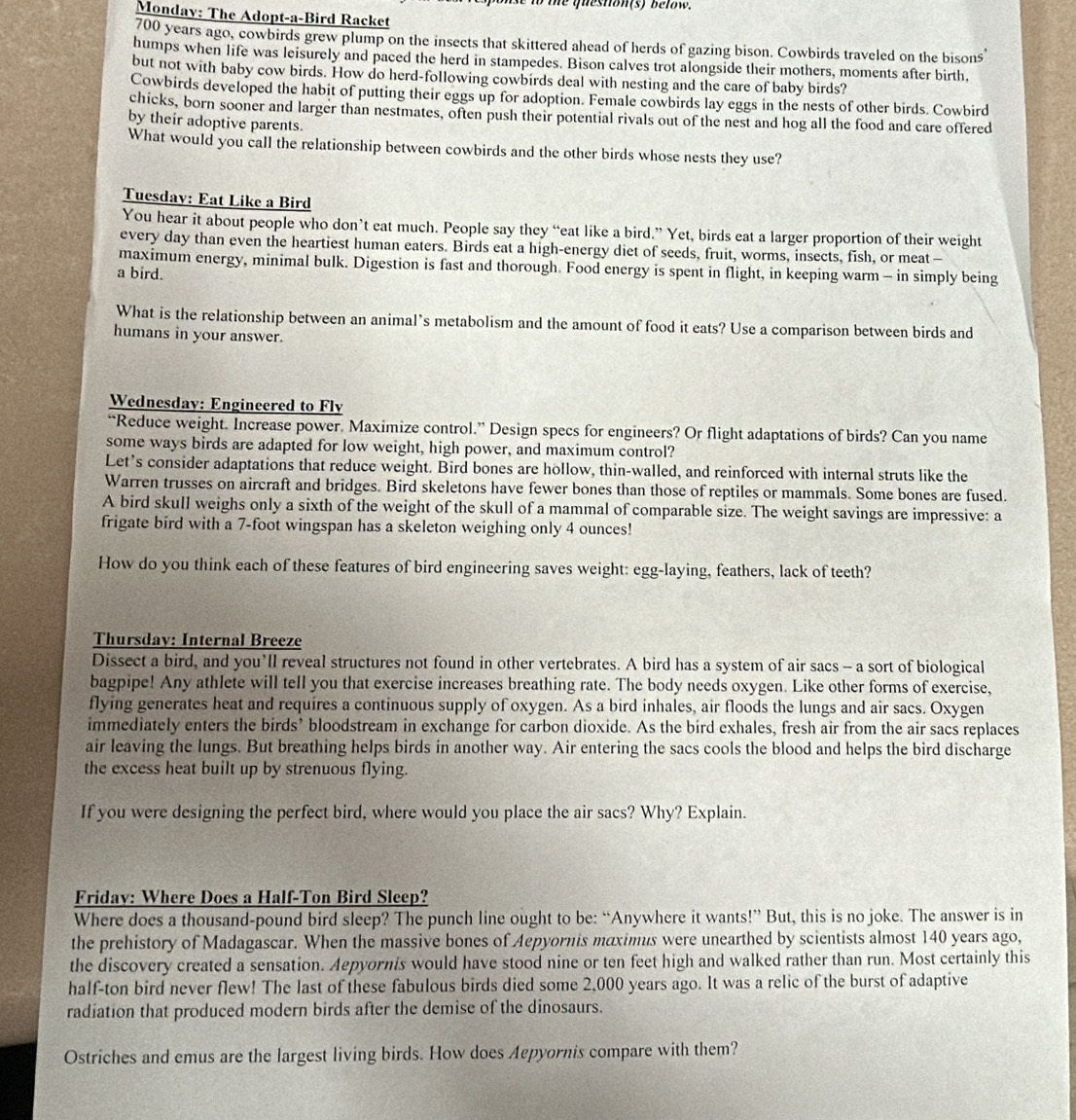 eshon (s) b e row .
Monday: The Adopt-a-Bird Racket
700 years ago, cowbirds grew plump on the insects that skittered ahead of herds of gazing bison. Cowbirds traveled on the bisons
humps when life was leisurely and paced the herd in stampedes. Bison calves trot alongside their mothers, moments after birth.
but not with baby cow birds. How do herd-following cowbirds deal with nesting and the care of baby birds?
Cowbirds developed the habit of putting their eggs up for adoption. Female cowbirds lay eggs in the nests of other birds. Cowbird
chicks, born sooner and larger than nestmates, often push their potential rivals out of the nest and hog all the food and care offered
by their adoptive parents.
What would you call the relationship between cowbirds and the other birds whose nests they use?
Tuesday: Eat Like a Bird
You hear it about people who don’t eat much. People say they “eat like a bird.” Yet, birds eat a larger proportion of their weight
every day than even the heartiest human eaters. Birds eat a high-energy diet of seeds, fruit, worms, insects, fish, or meat—
maximum energy, minimal bulk. Digestion is fast and thorough. Food energy is spent in flight, in keeping warm - in simply being
a bird.
What is the relationship between an animal’s metabolism and the amount of food it eats? Use a comparison between birds and
humans in your answer.
Wednesday: Engineered to Fly
“Reduce weight. Increase power. Maximize control.” Design specs for engineers? Or flight adaptations of birds? Can you name
some ways birds are adapted for low weight, high power, and maximum control?
Let’s consider adaptations that reduce weight. Bird bones are hollow, thin-walled, and reinforced with internal struts like the
Warren trusses on aircraft and bridges. Bird skeletons have fewer bones than those of reptiles or mammals. Some bones are fused.
A bird skull weighs only a sixth of the weight of the skull of a mammal of comparable size. The weight savings are impressive: a
frigate bird with a 7-foot wingspan has a skeleton weighing only 4 ounces!
How do you think each of these features of bird engineering saves weight: egg-laying, feathers, lack of teeth?
Thursday: Internal Breeze
Dissect a bird, and you’ll reveal structures not found in other vertebrates. A bird has a system of air sacs - a sort of biological
bagpipe! Any athlete will tell you that exercise increases breathing rate. The body needs oxygen. Like other forms of exercise,
flying generates heat and requires a continuous supply of oxygen. As a bird inhales, air floods the lungs and air sacs. Oxygen
immediately enters the birds’ bloodstream in exchange for carbon dioxide. As the bird exhales, fresh air from the air sacs replaces
air leaving the lungs. But breathing helps birds in another way. Air entering the sacs cools the blood and helps the bird discharge
the excess heat built up by strenuous flying.
If you were designing the perfect bird, where would you place the air sacs? Why? Explain.
Friday: Where Does a Half-Ton Bird Sleep?
Where does a thousand-pound bird sleep? The punch line ought to be: “Anywhere it wants!” But, this is no joke. The answer is in
the prehistory of Madagascar. When the massive bones of Aepyornis maximus were unearthed by scientists almost 140 years ago,
the discovery created a sensation. Aepyornis would have stood nine or ten feet high and walked rather than run. Most certainly this
half-ton bird never flew! The last of these fabulous birds died some 2,000 years ago. It was a relic of the burst of adaptive
radiation that produced modern birds after the demise of the dinosaurs.
Ostriches and emus are the largest living birds. How does Aepyornis compare with them?