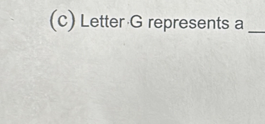 Letter G represents a _