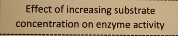 Effect of increasing substrate 
concentration on enzyme activity