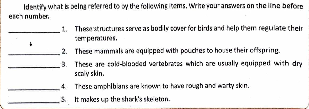 Identify what is being referred to by the following items. Write your answers on the line before 
each number. 
_ 
1. These structures serve as bodily cover for birds and help them regulate their 
temperatures. 
_2. These mammals are equipped with pouches to house their offspring. 
_3. These are cold-blooded vertebrates which are usually equipped with dry 
scaly skin. 
_4. These amphibians are known to have rough and warty skin. 
_5. It makes up the shark’s skeleton.