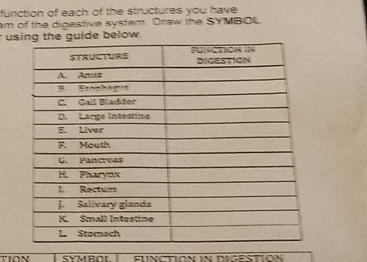 function of each of the structures you have 
am of the digestive system. Draw the SYMBOL 
uside below. 
TION T syvbol eunCtion in digestioN