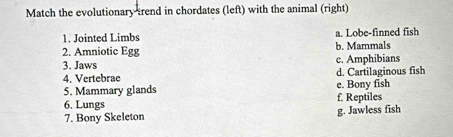 Match the evolutionary trend in chordates (left) with the animal (right)
1. Jointed Limbs a. Lobe-finned fish
2. Amniotic Egg b. Mammals
3. Jaws c. Amphibians
4. Vertebrae d. Cartilaginous fish
5. Mammary glands e. Bony fish
6. Lungs f. Reptiles
7. Bony Skeleton g. Jawless fish