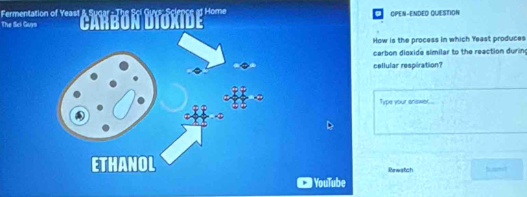 Fermentation of Yeast & Sugar - The Sci Guys: Science at Home 
. 
The Sci Guys CARBON DIOXIDE OPEN-ENDED QUESTION 
How is the process in which Yeast produces 
carbon dioxide similar to the reaction durin; 
cellular respiration? 
Type your answer. 
Rewatch 
YouTube