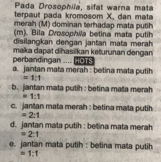 Pada Drosophila, sifat warna mata
terpaut pada kromosom X, dan mata
merah (M) dominan terhadap mata putih
(m). Bila Drosophila betina mata putih
disilangkan dengan jantan mata merah
maka dapat dihasilkan keturunan dengan
perbandingan .... HOTS
a. jantan mata merah : þetina mata putih
=1:1
b. jantan mata putih : betina mata merah
=1:1
c. jantan mata merah : betina mata putih
=2:1
d. jantan mata putih : betina mata merah
=2:1
e. jantan mata putih : betina mata putih
=1:1