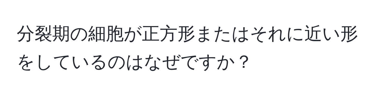 分裂期の細胞が正方形またはそれに近い形をしているのはなぜですか？