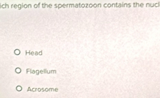 ich region of the spermatozoon contains the nucl
Head
Flagellum
Acrosome