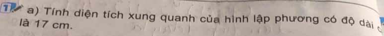 Th a) Tính diện tích xung quanh của hình lập phương có độ dài c 
là 17 cm.