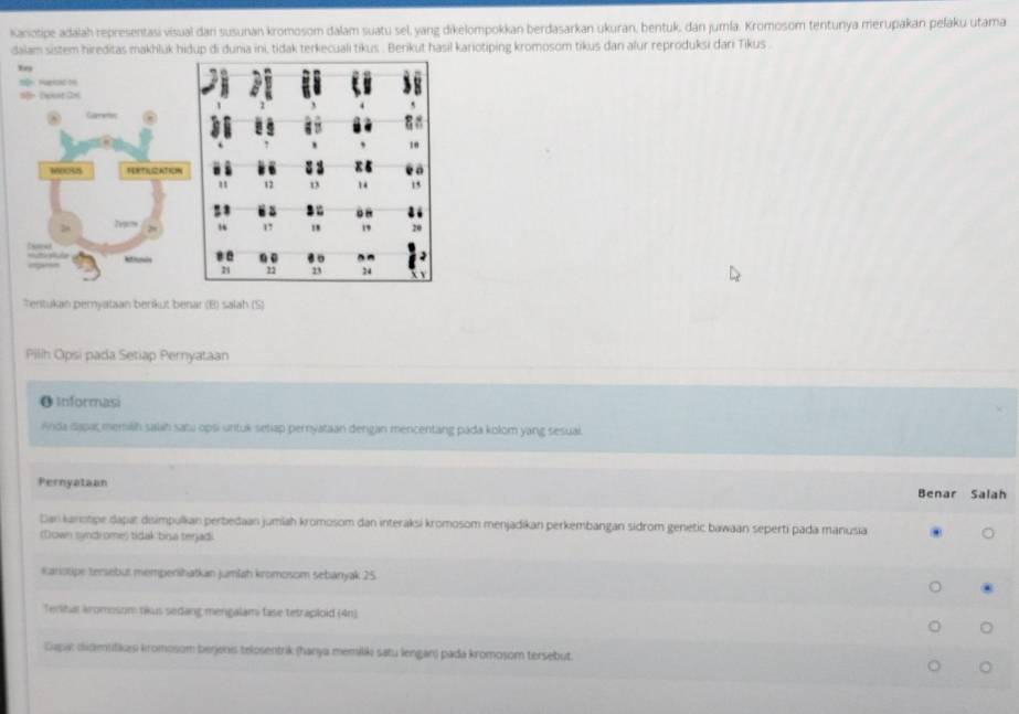 Kanotipe adalah representasi visual dan susunan kromosom dalam suatu sel, yang dikelompokkan berdasarkan ukuran, bentuk, dan jumla. Kromosom tentunya merupakan peľaku utama 
dalam sistem hireditas makhluk hidup di dunia ini, tidak terkecuali tikus . Berikut hasil kariotiping kromosom tikus dan alur reproduksi dari Tikus . 
Tentukan peryataan benkut benar (B) salah (S) 
Pilih Opsi pada Setiap Pernyataan 
● Informasi 
Anda dapar memilih salah sata opsi untuk setiap pernyataan dengan mencentang pada kolom yang sesual. 
Pernyataan 
Benar Salah 
Dan kanotipe dapat disimpullian perbedaan jumiah kromosom dan interaksi kromosom menjadikan perkembangan sidrom genetic bawaan seperti pada manusia 
(Down syndrome) tidak bina terjad. 
Kariotipe tersebut mempenihatkan jumlah kromosom sebanyak 25. 
Teribar aromosom nkus sedang mengalam fase tetraploid (4n) 
。 
Capa: didentifkæ kromosom berjenis telosentrik (hanya memilik satu lengan) pada kromosom tersebut. 
。