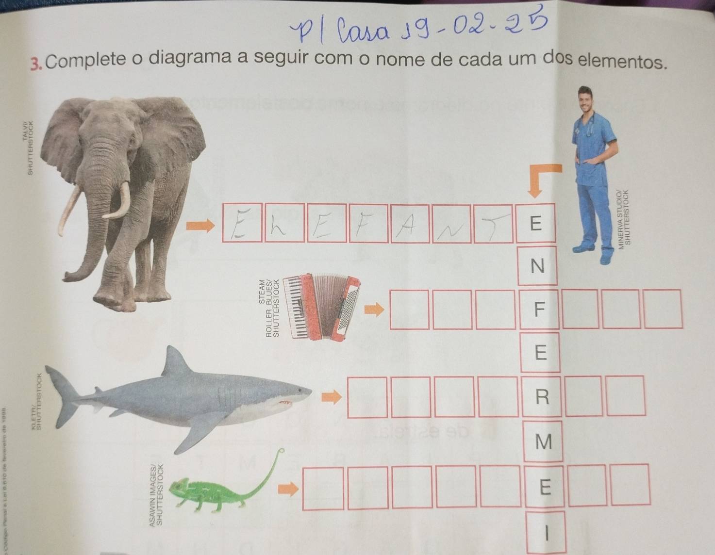 Complete o diagrama a seguir com o nome de cada um dos elementos. 
|