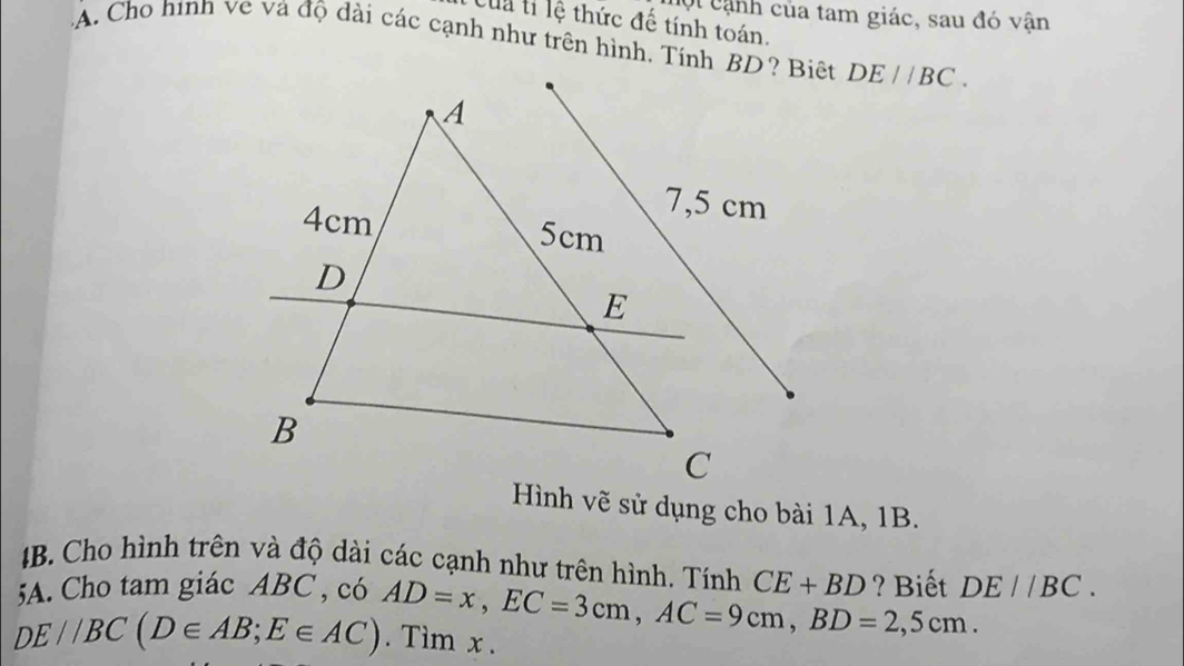 ội cạnh của tam giác, sau đó vận 
Của tỉ lệ thức đế tính toán. 
A. Cho hình ve và độ dài các cạnh như trên hình. Tính BD? Biệt DE//BC. 
Hình vẽ sử dụng cho bài 1A, 1B.
4B. Cho hình trên và độ dài các cạnh như trên hình. Tính 
5A. Cho tam giác ABC , có CE+BD ? Biết DE//BC.
DE//BC(D∈ AB; E∈ AC) AD=x, EC=3cm, AC=9cm, BD=2,5cm. . Tìm x.