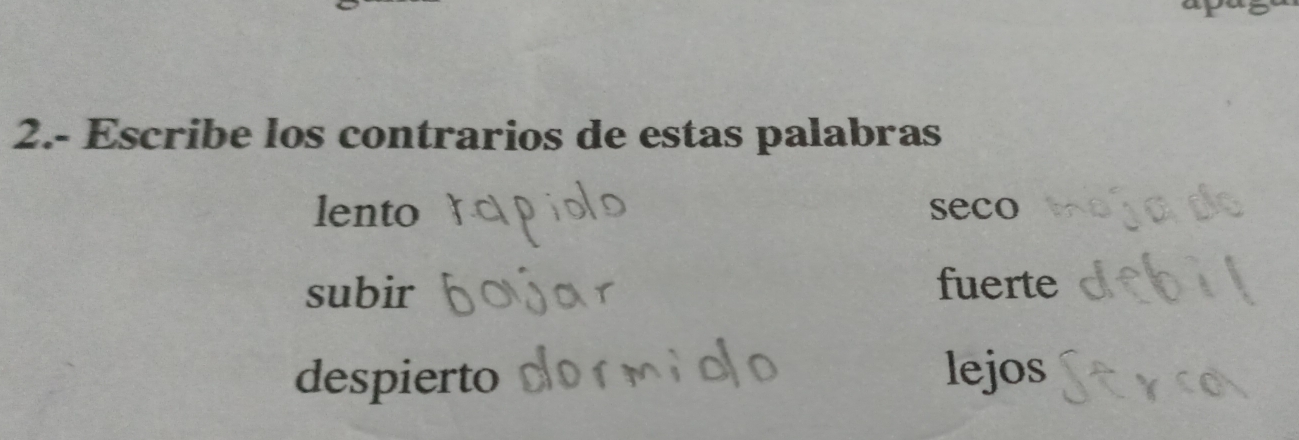 2.- Escribe los contrarios de estas palabras
lento seco
subir fuerte
despierto lejos