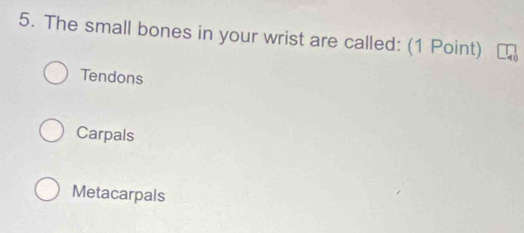 The small bones in your wrist are called: (1 Point)
Tendons
Carpals
Metacarpals