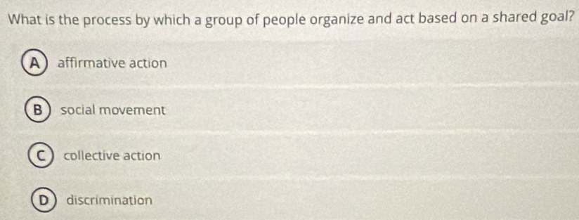 What is the process by which a group of people organize and act based on a shared goal?
A affirmative action
B social movement
C collective action
Ddiscrimination