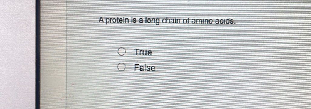 A protein is a long chain of amino acids.
True
False