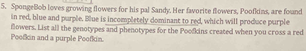 SpongeBob loves growing flowers for his pal Sandy. Her favorite flowers, Poofkins, are found 
in red, blue and purple. Blue is incompletely dominant to red, which will produce purple 
flowers. List all the genotypes and phenotypes for the Poofkins created when you cross a red 
Poofkin and a purple Poofkin.