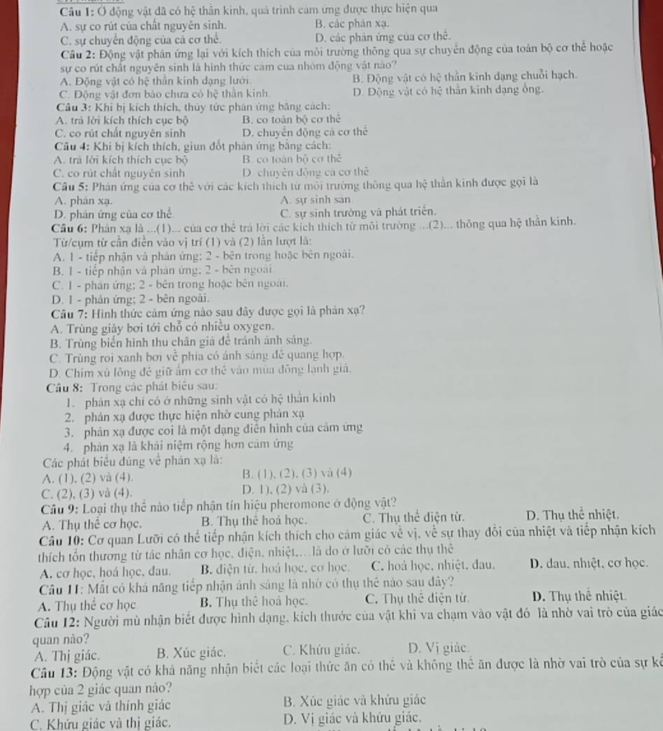 Ở động vật đã có hệ thân kinh, quả trình cam ứng được thực hiện qua
A. sự co rút của chất nguyên sinh. B. các phân xạ.
C. sự chuyển động của cả cơ thể. D. các phản ứng của cơ thể.
Cầu 2: Động vật phản ứng lại với kích thích của môi trường thông qua sự chuyển động của toàn bộ cơ thể hoặc
sự co rút chất nguyên sinh là hình thức cảm của nhóm động vật nào?
A. Động vật có hệ thần kinh dạng lưới. B. Động vật có hệ thần kinh dạng chuỗi hạch.
C. Động vật đơn bào chưa có hệ thần kinh. D. Động vật có hệ thần kinh dạng ống.
Cầu 3: Khi bị kích thích, thủy tức phán ứng băng cách:
A. trả lời kích thích cục bộ B. co toàn bộ cơ thể
C. co rút chất nguyên sinh D. chuyển động cá cơ thể
Cầu 4: Khi bị kích thích, giun đốt phán ứng bằng cách:
A. trà lời kích thích cục bộ B. co toàn bộ cơ thể
C. co rút chất nguyên sinh D. chuyên động ca cơ thể
Cầu 5: Phán ứng của cơ thê với các kích thích từ mỗi trường thông qua hệ thần kinh được gọi là
A. phán xạ. A. sự sinh san
D. phân ứng của cơ thể C. sự sinh trưởng và phát triển,
Cầu 6: Phân xạ là ...(1)... của cơ thể trá lời các kích thích từ môi trường ...(2)... thông qua hệ thân kinh.
Từ/cụm từ cần điễn vào vị trí (1) và (2) lẫn lượt là:
A. 1 - tiếp nhận và phán ứng: 2 - bên trong hoặc bên ngoài.
B. 1 - tiếp nhận và phản ứng; 2 - bên ngoài
C. 1 - phản ứng; 2 - bên trong hoặc bên ngoài.
D. 1 - phân ứng; 2 - bên ngoài.
Câu 7: Hình thức cảm ứng nào sau đây được gọi là phản xạ?
A. Trùng giày bơi tới chỗ có nhiều oxygen.
B. Trùng biến hình thu chân giá để tránh ảnh sáng.
C. Trùng roi xanh bơi về phía có ảnh sáng đề quang hợp.
D. Chim xù lỗng đê giữ ẩm cơ thê vào mùa đồng lạnh giả.
Câu 8: Trong các phát biểu sau:
1  phân xạ chi có ở những sinh vật có hệ thần kinh
2. phản xạ được thực hiện nhờ cung phản xạ
3. phản xạ được coi là một dạng điên hình của cảm ứng
4. phản xạ là khái niệm rộng hơn cảm ứng
Các phát biểu đúng về phản xạ là:
A. (1), (2) và (4). B. (1), (2), (3) và (4)
C. (2), (3) và (4). D. 1), (2) và (3).
Câu 9: Loại thụ thể nào tiếp nhận tín hiệu pheromone ở động vật?
A. Thụ thể cơ học. B. Thụ thể hoá học. C. Thụ thể diện từ. D. Thụ thể nhiệt.
Câu 10: Cơ quan Lưỡi có thể tiếp nhận kích thích cho cảm giác về vị, về sự thay đỗi của nhiệt và tiếp nhận kích
thích tổn thương từ tác nhân cơ học, điện, nhiệt.... là do ở lưỡi có các thụ thể
A. cơ học, hoá học, đau, B. điện từ, hoá học, cơ học. C. hoá học. nhiệt. đau. D. dau, nhiệt, cơ học.
Câu I1: Mắt có khả năng tiếp nhận ảnh sáng là nhờ có thụ thể nào sau dây?
A. Thụ thể cơ học B. Thụ thể hoá học. C. Thụ thể điện từ D. Thụ thể nhiệt.
Câu 12: Người mù nhận biết được hình dạng, kích thước của vật khi va chạm vào vật đó là nhờ vai trò của giác
quan nào?
A. Thị giác. B. Xúc giác. C. Khứu giác. D. Vị giác.
Câu 13: Động vật có khả năng nhận biết các loại thức ăn có thể và không thể ăn được là nhờ vai trò của sự kế
hợp của 2 giác quan nào?
A. Thị giác và thính giác B. Xúc giác và khứu giác
C. Khứu giác và thị giác. D. Vị giác và khứu giác.