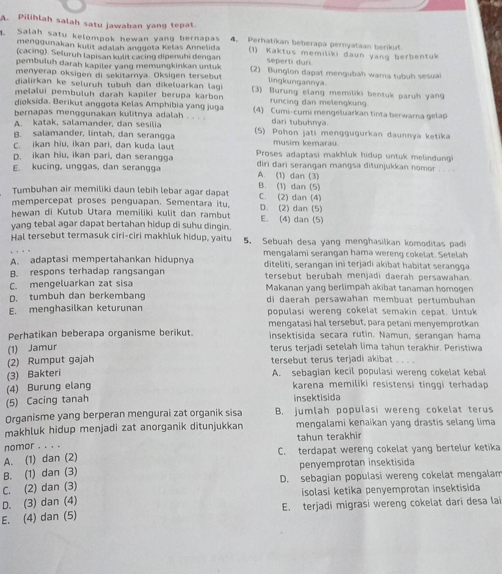 Pilihlah salah satu jawaban yang tepat.
1. Salah satu kelompok hewan yang bernapas 4. Perhatikan beberapa pernyataan berikut
menggunakan kulit adalah anggota Kelas Annelida (1) Kaktus memiliki daun yang berbentuk
(cacing). Seluruh lapisan kulit cacing dipenuhi dengan seperti duri
pembuluh darah kapiler yang memungkinkan untuk (2) Bunglon dapat mengubah warna tubuh sesuai
menyerap oksigen di sekitarnya. Oksigen tersebut lingkungannya
dialirkan ke seluruh tubuh dan dikeluarkan lagi (3) Burung elang memiliki bentuk paruh yang
melalui pembuluh darah kapiler berupa karbon runcing dan melengkung.
dioksida. Berikut anggota Kelas Amphibia yang juga (4) Cumi-cumi mengeluarkan tinta berwarna gelap
bernapas menggunakan kulitnya adalah . . . . dari tubuhnya
A. katak, salamander, dan sesilia (5) Pohon jati menggugurkan daunnya ketika
B. salamander, lintah, dan serangga musim kemarau
C. ikan hiu, ikan pari, dan kuda laut Proses adaptasi makhluk hidup untuk melindungi
D. ikan hiu, ikan pari, dan serangga diri dari serangan mangsa ditunjukkan nomor . . . .
E. kucing, unggas, dan serangga A. (1) dan (3)
B. (1) dan (5)
Tumbuhan air memiliki daun lebih lebar agar dapat C. (2) dan (4)
mempercepat proses penguapan. Sementara itu, D. (2) dan (5)
hewan di Kutub Utara memiliki kulit dan rambut E. (4) dan (5)
yang tebal agar dapat bertahan hidup di suhu dingin.
Hal tersebut termasuk ciri-ciri makhluk hidup, yaitu 5. Sebuah desa yang menghasilkan komoditas padi
mengalami serangan hama wereng cokelat. Setelah
A. adaptasi mempertahankan hidupnya diteliti, serangan ini terjadi akibat habitat serangga
B. respons terhadap rangsangan tersebut berubah menjadi daerah persawahan.
C. mengeluarkan zat sisa Makanan yang berlimpah akibat tanaman homogen
D. tumbuh dan berkembang di daerah persawahan membuat pertumbuhan
E. menghasilkan keturunan populasi wereng cokelat semakin cepat. Untuk
mengatasi hal tersebut, para petani menyemprotkan
Perhatikan beberapa organisme berikut. insektisida secara rutin. Namun, serangan hama
(1) Jamur terus terjadi setelah lima tahun terakhir. Peristiwa
(2) Rumput gajah tersebut terus terjadi akibat_
(3) Bakteri A. sebagian kecil populasi wereng cokelat kebal
(4) Burung elang
karena memiliki resistensi tinggi terhadap 
(5) Cacing tanah insektisida
Organisme yang berperan mengurai zat organik sisa B. jumlah populasi wereng cokelat terus
makhluk hidup menjadi zat anorganik ditunjukkan mengalami kenaikan yang drastis selang lima
tahun terakhir
nomor . . . .
A. (1) dan (2) C. terdapat wereng cokelat yang bertelur ketika
B. (1) dan (3) penyemprotan insektisida
C. (2) dan (3) D. sebagian populasi wereng cokelat mengalam
D. (3) dan (4) isolasi ketika penyemprotan insektisida
E. (4) dan (5) E. terjadi migrasi wereng cokelat dari desa lai