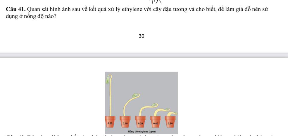 Quan sát hình ảnh sau về kết quả xử lý ethylene với cây đậu tương và cho biết, để làm giá đỗ nên sử 
dụng ở nồng độ nào?
30