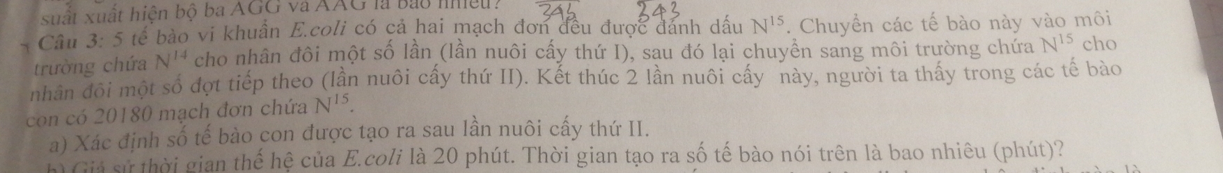 suất xuất hiện bộ ba AGG và AAG là bảo nhệu: 
Câu 3: 5 tế bào vi khuẩn E.coli có cả hai mạch đơn đều được đánh dấu N^(15). Chuyển các tế bào này vào môi 
trường chứa N^(14) cho nhân đôi một số lần (lần nuôi cấy thứ I), sau đó lại chuyền sang môi trường chứa N^(15) cho 
nhân đội một số đợt tiếp theo (lần nuôi cấy thứ II). Kết thúc 2 lần nuôi cấy này, người ta thấy trong các tế bào 
con có 20180 mạch đơn chứa N^(15). 
a) Xác định số tế bào con được tạo ra sau lần nuôi cấy thứ II. 
h) Giá sử thời gian thế hệ của E.coli là 20 phút. Thời gian tạo ra số tế bào nói trên là bao nhiêu (phút)?