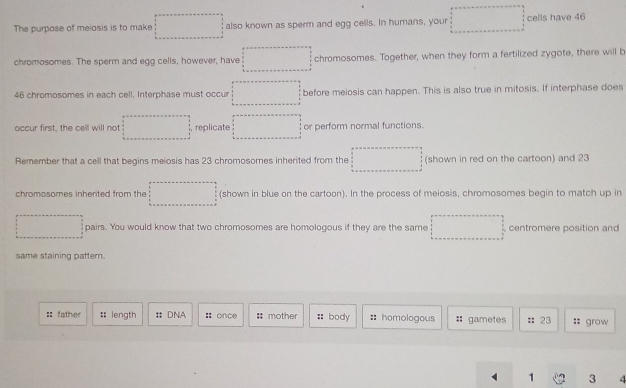 1........ 
The purpose of meiosis is to make also known as sperm and egg cells. In humans, your cells have 46
chromosomes. The sperm and egg cells, however, have ... chromosomes. Together, when they form a fertilized zygote, there will b
□ 
46 chromosomes in each cell. Interphase must occur □  before meiosis can happen. This is also true in mitosis. If interphase does
occur first, the cell will not replicate or perform normal functions.
Remember that a cell that begins meiosis has 23 chromosomes inherited from the 1/2 (shown in red on the cartoon) and 23
chromosomes inherited from the □ (shown in blue on the cartoon). In the process of meiosis, chromosomes begin to match up in
□ pairs. You would know that two chromosomes are homologous if they are the same x_1+x_2= □ /□   centromere position and
same staining pattern.
:: father :; length : DNA : once # mother :: body ::homologous gametes : 23 :: grow
1 3 4