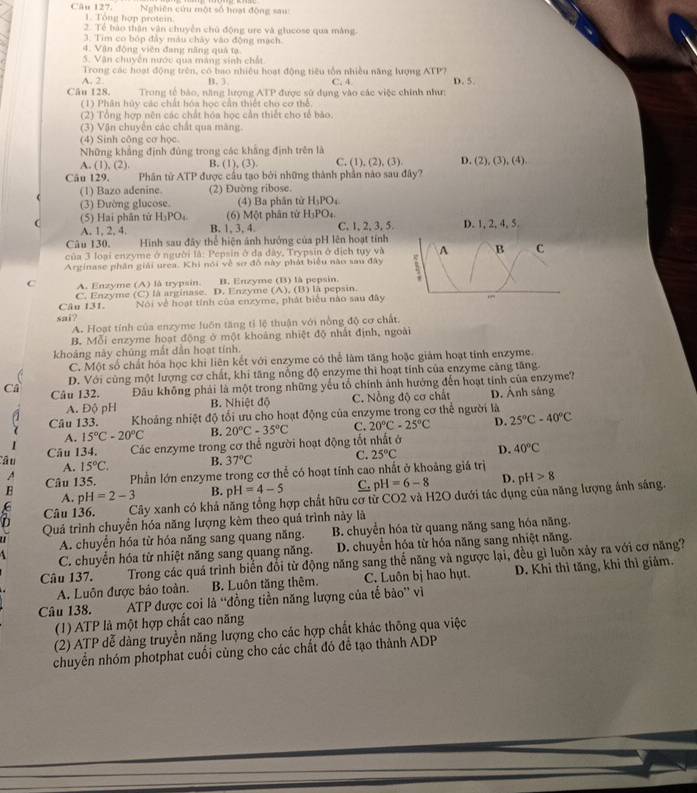 Nghiên cứu một số hoạt động sau:
Câu 127. 1. Tổng hợp protein
2. Tổ bào thận vận chuyển chủ động urc và glucose qua màng
3. Tim co bóp đây màu chây vào động mạch
4. Vận động viên đang năng quả tạ
S. Vận chuyên nước qua máng sinh chất
Trong các hoạt động trên, có bao nhiệu hoạt động tiêu tôn nhiều năng lượng ATP?
A. 2. B. 3. C, 4. D. 5.
Câu 128  Trong tổ bào, năng lượng ATP được sử dụng vào các việc chính như:
(1) Phân hủy các chất hóa học cần thiết cho cơ thể
(2) Tổng hợp nên các chất hóa học cần thiết cho tế bào.
(3) Vận chuyên các chất qua màng.
(4) Sinh công cơ học
Những khẳng định đủng trong các khẳng định trên là
A. (1), (2). B. (1), (3). C. (1),(2),(3) D. (2),(3),(4),
Câu 129. Phân tử ATP được cầu tạo bởi những thành phần nào sau đây?
(1) Bazo adenine. (2) Đường ribose.
(3) Đường glucose. (4) Ba phân tử H_5PO
(5) Hai phân tử H_3PO_4 (6) Một phân từ H_1PO
A. 1, 2, 4. B. 1, 3,4. C, 1, 2, 3, 5.
Câu 130, Hình sau đây thể hiện ảnh hướng của pH lên hoạt tính
của 3 loại enzyme ở người là: Pepsin ở đa đây, Trypsin ở địch tụy và
Arginase phân giải urea. Khi nói về sơ đô này phát biểu nào sau đây
C A. Enzyme (A) là trypsin. B. Enzyme (B) là pepsin.
Câu 131. C. Enzyme (C) là arginase. D. Enzyme (A), (B) là pepsin.
Nói về hoạt tính của enzyme, phát biểu nào sau đây
sai?
A. Hoạt tính của enzyme luôn tăng tỉ lệ thuận với nồng độ cơ chất.
B. Mỗi enzyme hoạt động ở một khoảng nhiệt độ nhất định, ngoài
khoảng này chúng mắt dẫn hoạt tính.
C. Một số chất hóa học khi liên kết với enzyme có thể làm tăng hoặc giảm hoạt tính enzyme.
D. Với cùng một lượng cơ chất, khi tăng nổng độ enzyme thi hoạt tính của enzyme căng tăng.
Câ Câu 132. Đầu không phải là một trong những yếu tổ chính ảnh hưởng đến hoạt tính của enzyme?
A. Độ pH B. Nhiệt độ C. Nỗng độ cơ chất D. Ảnh sáng
Câu 133.  Khoảng nhiệt độ tổi ưu cho hoạt động của enzyme trong cơ thể người là 25°C-40°C
A. 15°C-20°C B. 20°C-35°C C. 20°C-25°C D.
Câu 134. Các enzyme trong cơ thể người hoạt động tốt nhất ở
Câu A. 15°C. B. 37°C C. 25°C D. 40°C
A
B Câu 135. Phần lớn enzyme trong cơ thể có hoạt tính cao nhất ở khoảng giá trị
A. pH=2-3 B. pH=4-5 C. pH=6-8 D. pH>8
Câu 136. Cây xanh có khả năng tổng hợp chất hữu cơ từ CO2 và H2O dưới tác dụng của năng lượng ảnh sáng.
Quả trình chuyển hóa năng lượng kèm theo quá trình này là
A. chuyển hóa từ hóa năng sang quang năng. B. chuyển hóa từ quang năng sang hóa năng.
C. chuyển hóa từ nhiệt năng sang quang năng. D. chuyển hóa từ hóa năng sang nhiệt năng.
Câu 137. Trong các quá trình biển đổi từ động năng sang thể năng và ngược lại, đều gì luôn xảy ra với cơ năng?
A. Luôn được bảo toàn. B. Luôn tăng thêm. C. Luôn bị hao hụt. D. Khi thì tăng, khi thì giảm.
Câu 138. ATP được coi là “'đồng tiền năng lượng của tế bảo” vì
(1) ATP là một hợp chất cao năng
(2) ATP dễ dàng truyền năng lượng cho các hợp chất khác thông qua việc
chuyển nhóm photphat cuối cùng cho các chất đó đề tạo thành ADP
