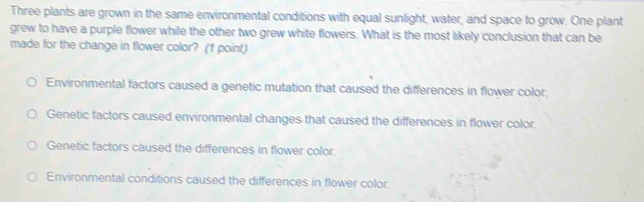 Three plants are grown in the same environmental conditions with equal sunlight, water, and space to grow. One plant
grew to have a purple flower while the other two grew white flowers. What is the most likely conclusion that can be
made for the change in flower color? (1 point)
Environmental factors caused a genetic mutation that caused the differences in flower color.
Genetic factors caused environmental changes that caused the differences in flower color.
Genetic factors caused the differences in flower color.
Environmental conditions caused the differences in flower color.