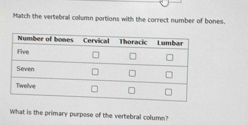 Match the vertebral column portions with the correct number of bones. 
What is the primary purpose of the vertebral column?