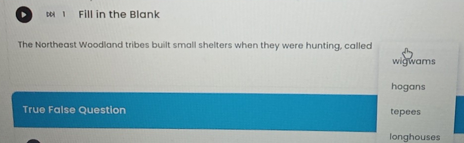 DD Fill in the Blank
The Northeast Woodland tribes built small shelters when they were hunting, called
wigwams
hogans
True False Question tepees
longhouses