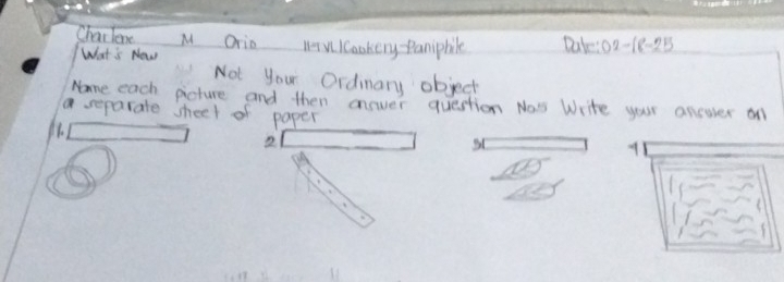 Chai lene M Orio MVICaahery Panipbilk Dakes 02-18-25
What is Now 
Not you Ordnary object 
Nome each picture and then answer question Na's Write your answer all 
a separate sheel of paper 
2
91