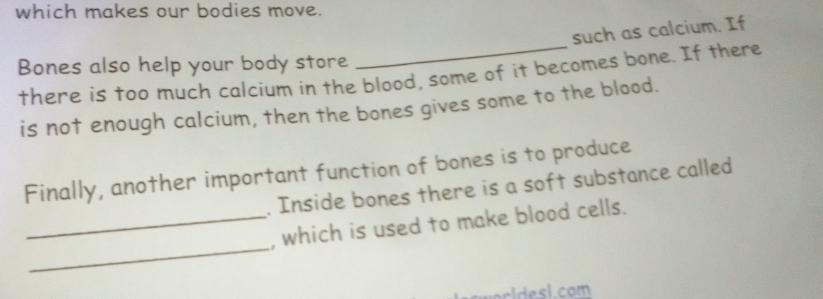 which makes our bodies move. 
such as calcium. If 
Bones also help your body store 
there is too much calcium in the blood, some of it becomes bone. If there 
is not enough calcium, then the bones gives some to the blood. 
Finally, another important function of bones is to produce 
. Inside bones there is a soft substance called 
_ 
_, which is used to make blood cells. 
cl es l.com