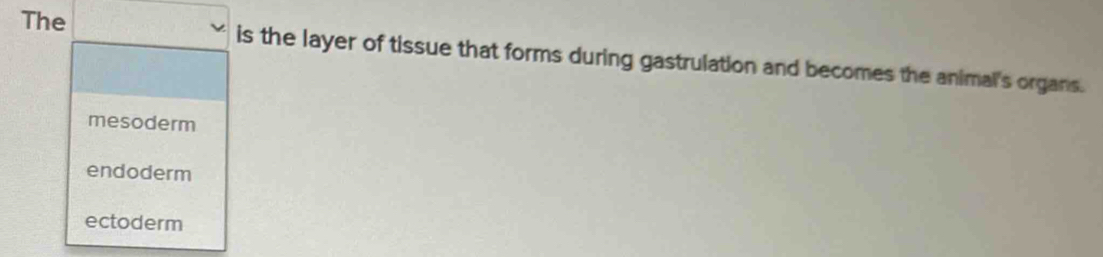 The is the layer of tissue that forms during gastrulation and becomes the animal's organs.
mesoderm
endoderm
ectoderm