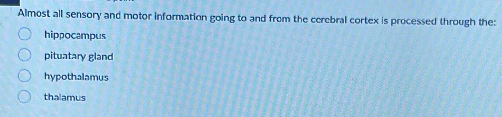 Almost all sensory and motor information going to and from the cerebral cortex is processed through the:
hippocampus
pituatary gland
hypothalamus
thalamus