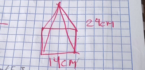 294M1
MucM