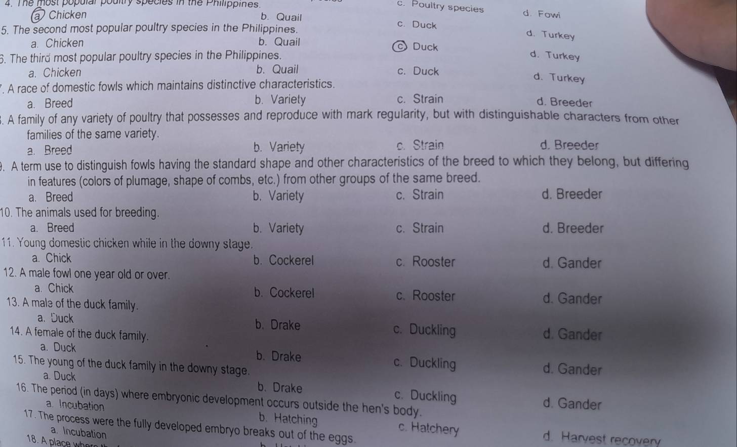 The most populal poultry species in the Philippines.
c. Poultry species d. Fowi
a Chicken b. Quail c. Duck
5. The second most popular poultry species in the Philippines.
d. Turkey
a. Chicken b. Quail Duck
6. The third most popular poultry species in the Philippines. d. Turkey
a. Chicken b. Quail c. Duck
. A race of domestic fowls which maintains distinctive characteristics.
d. Turkey
b. Variety c. Strain
a. Breed d. Breeder
3. A family of any variety of poultry that possesses and reproduce with mark regularity, but with distinguishable characters from other
families of the same variety.
a. Breed b. Variety c. Strain d. Breeder
9. A term use to distinguish fowls having the standard shape and other characteristics of the breed to which they belong, but differing
in features (colors of plumage, shape of combs, etc.) from other groups of the same breed.
a. Breed b. Variety c. Strain d. Breeder
10. The animals used for breeding.
a. Breed b. Variety c. Strain d. Breeder
11. Young domestic chicken while in the downy stage.
a. Chick b. Cockerel c. Rooster d. Gander
12. A male fowl one year old or over.
a. Chick b. Cockerel c. Rooster
13. A male of the duck family.
d. Gander
a. Duck b. Drake c. Duckling d. Gander
14. A female of the duck family.
a. Duck b. Drake c. Duckling d. Gander
15. The young of the duck family in the downy stage.
a. Duck b. Drake c. Duckling d. Gander
16. The period (in days) where embryonic development occurs outside the hen's body.
a. Incubation b. Hatching c. Hatchery d. Harvest recovery
17. The process were the fully developed embryo breaks out of the eggs.
a. Incubation
18. A place whr