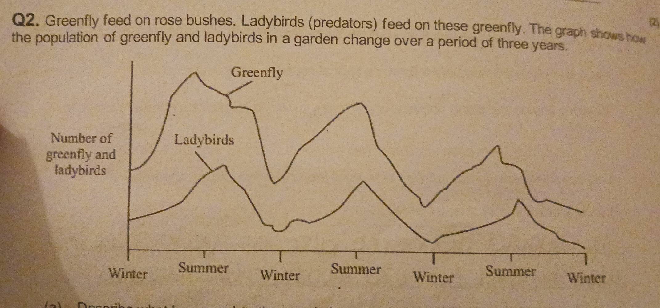 (2) 
Q2. Greenfly feed on rose bushes. Ladybirds (predators) feed on these greenfly. The graph shows how 
the population of greenfly and ladybirds in a garden change over a period of three years.