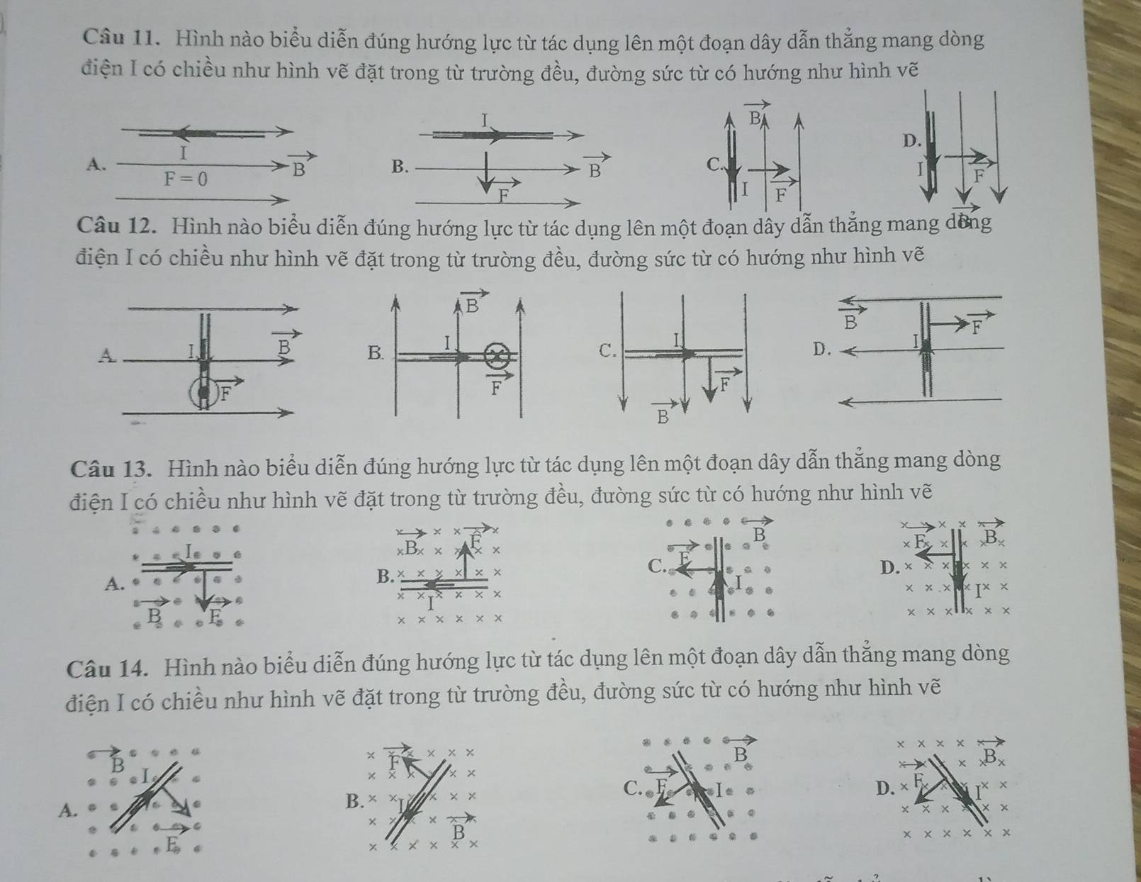 Hình nào biểu diễn đúng hướng lực từ tác dụng lên một đoạn dây dẫn thẳng mang dòng
điện I có chiều như hình vẽ đặt trong từ trường đều, đường sức từ có hướng như hình vẽ
D.
I F
Câu 12. Hình nào biểu diễn đúng hướng lực từ tác dụng lên một đoạn dây dẫn thẳng mang dồng
điện I có chiều như hình vẽ đặt trong từ trường đều, đường sức từ có hướng như hình vẽ
Câu 13. Hình nào biểu diễn đúng hướng lực từ tác dụng lên một đoạn dây dẫn thẳng mang dòng
điện I có chiều như hình vẽ đặt trong từ trường đều, đường sức từ có hướng như hình vẽ
to * * -
B
* Fx* |kxB_xB_x
D. x* x* x
C.
* * * ∈t * I* *
x* x||x* x
Câu 14. Hình nào biểu diễn đúng hướng lực từ tác dụng lên một đoạn dây dẫn thắng mang dòng
điện I có chiều như hình vẽ đặt trong từ trường đều, đường sức từ có hướng như hình vẽ
x* x* x
× * * *
B
B
* xB_x
* *
D. _xF_x 16 I^(xx)
A.
B. * x x* x C.
x* x xx
C
×
B
x* x* x* x
* * *