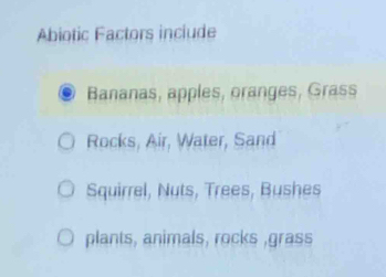 Abiotic Factors include
Bananas, apples, oranges, Grass
Rocks, Air, Water, Sand
Squirrel, Nuts, Trees, Bushes
plants, animals, rocks ,grass