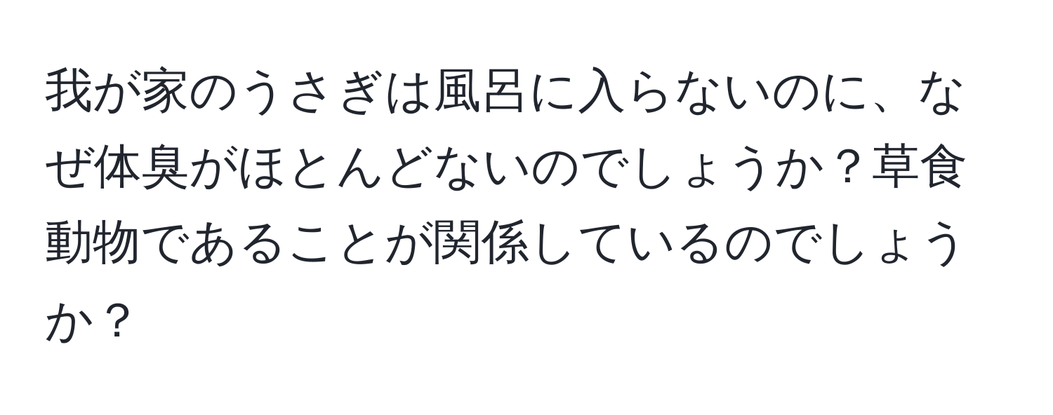 我が家のうさぎは風呂に入らないのに、なぜ体臭がほとんどないのでしょうか？草食動物であることが関係しているのでしょうか？