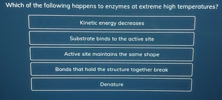 Which of the following happens to enzymes at extreme high temperatures?
Kinetic energy decreases
Substrate binds to the active site
Active site maintains the same shape
Bonds that hold the structure together break
Denature