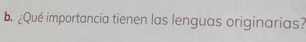 ¿Qué importancia tienen las lenguas originarias?