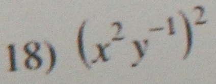 (x^2y^(-1))^2