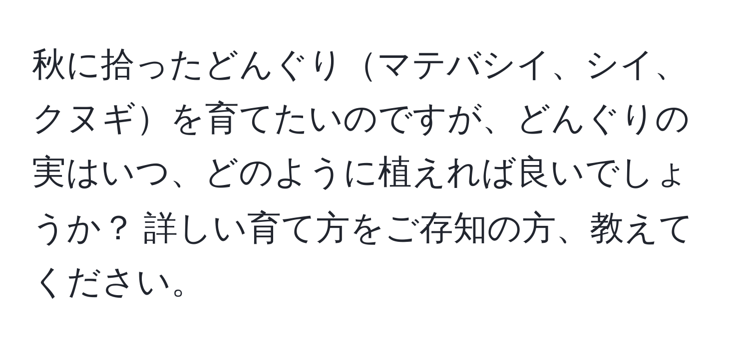 秋に拾ったどんぐりマテバシイ、シイ、クヌギを育てたいのですが、どんぐりの実はいつ、どのように植えれば良いでしょうか？ 詳しい育て方をご存知の方、教えてください。