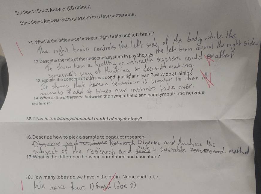 Short Answer (20 points) 
Directions: Answer each question in a few sentences. 
11. What is the difference between right brain and left brain? 
12.Describe the role of the endocrine system in psychology. 
13.Explain the concept of classical conditioning and Ivan Pavlov dog training 
14.What is the difference between the sympathetic and parasympathetic nervous 
systems? 
15.What is the biopsychosocial model of psychology? 
16.Describe how to pick a sample to conduct research. 
17.What is the difference between correlation and causation? 
18.How many lobes do we have in the brain. Name each lobe.